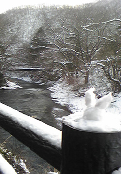 Snow.jpg