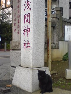 101215_1320~01.jpg