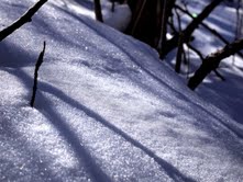 snow.jpg