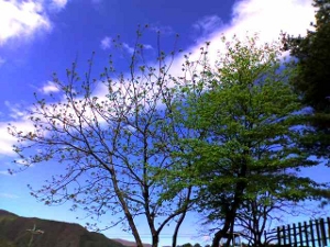 aBeautifulDay.JPG